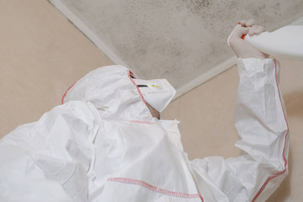 Best Mold Remediation  in Cuyahoga Falls, OH